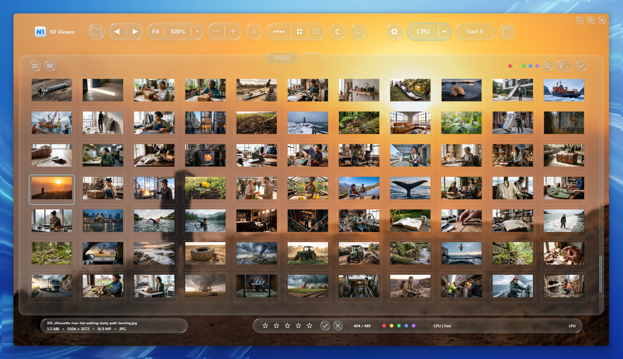 N1 Viewer Gallery showing a large thumbnail grid, controls and folder browsing workflow